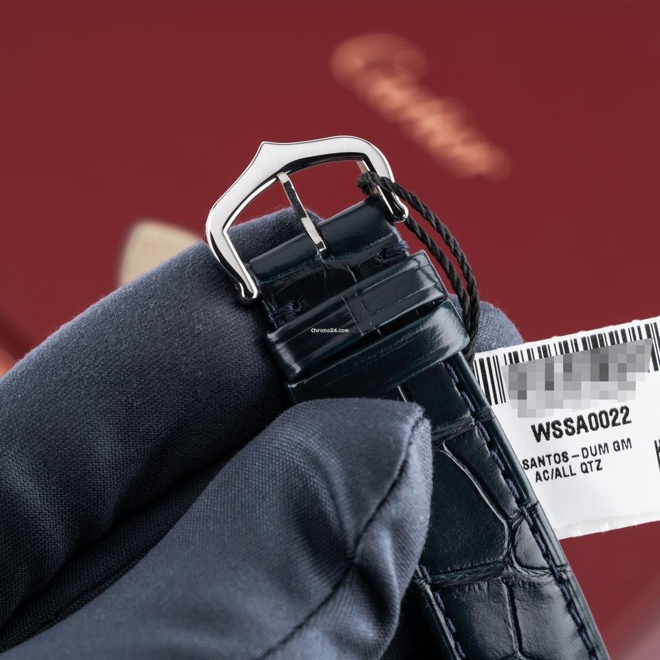 Cartier Santos Dumont 2025  Model WSSA0022 6
