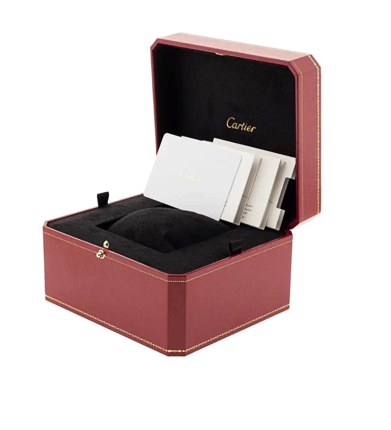 SANTOS DE CARTIER WATCH 3